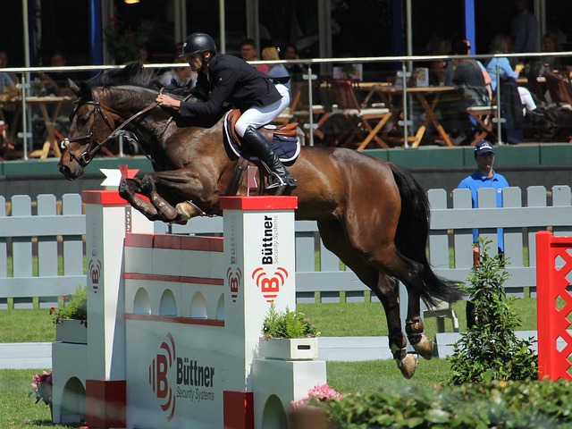 有这样一个 有这样一个