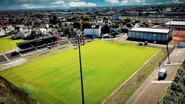 爱好者齐聚 爱好者齐聚