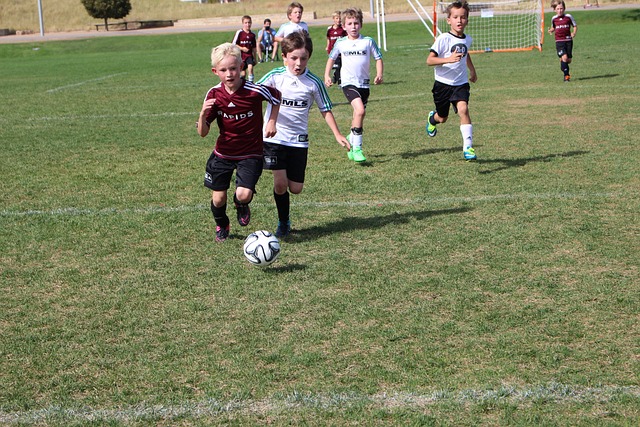 经济发展并 经济发展并