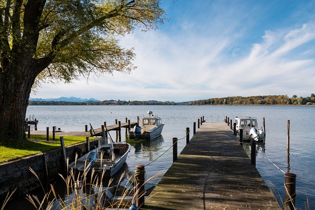 项竞技活动 项竞技活动
